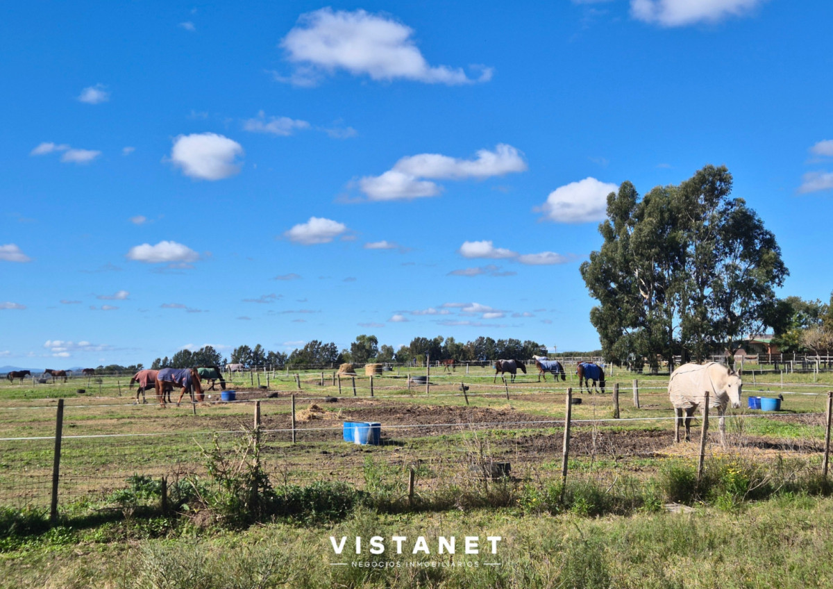 Chacra ID.373/Chacra-3-Ha-con-casa-de-3-dormitorios-en-Atlantida - Chacra 3 Ha con casa de 3 dormitorios en Atlantida