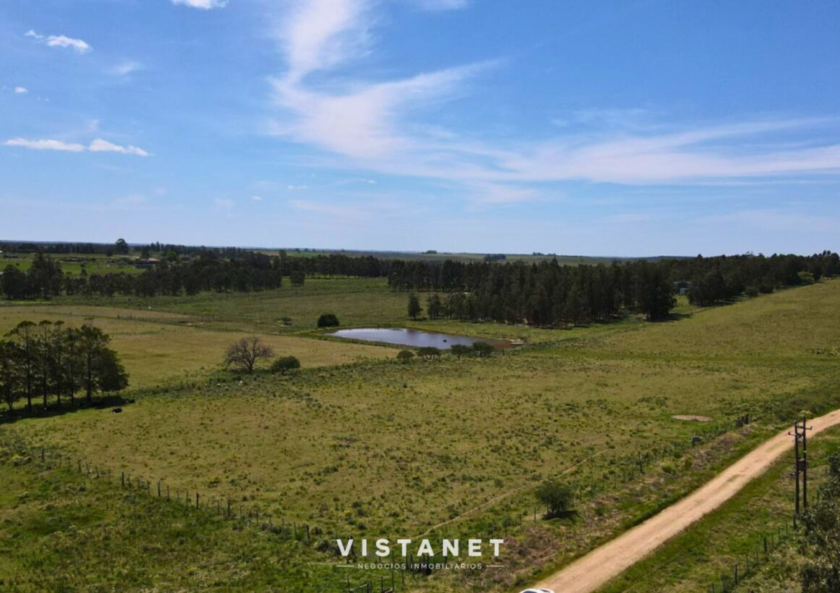 Chacra ID.229/Venta-Chacra-de-4.5-Hectareas-sobre-Ruta-11-en-La-Palmita - Venta Chacra de 4.5 Hectareas sobre Ruta 11 en La Palmita