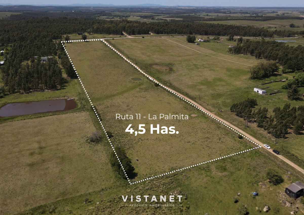 Chacra ID.229/Venta-Chacra-de-4.5-Hectareas-sobre-Ruta-11-en-La-Palmita - Venta Chacra de 4.5 Hectareas sobre Ruta 11 en La Palmita
