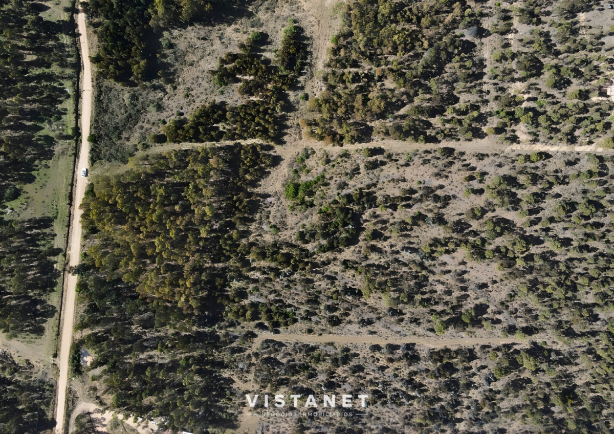 Chacra ID.189/Venta-Chacra-en-La-Palmita- - Venta Chacra en La Palmita 