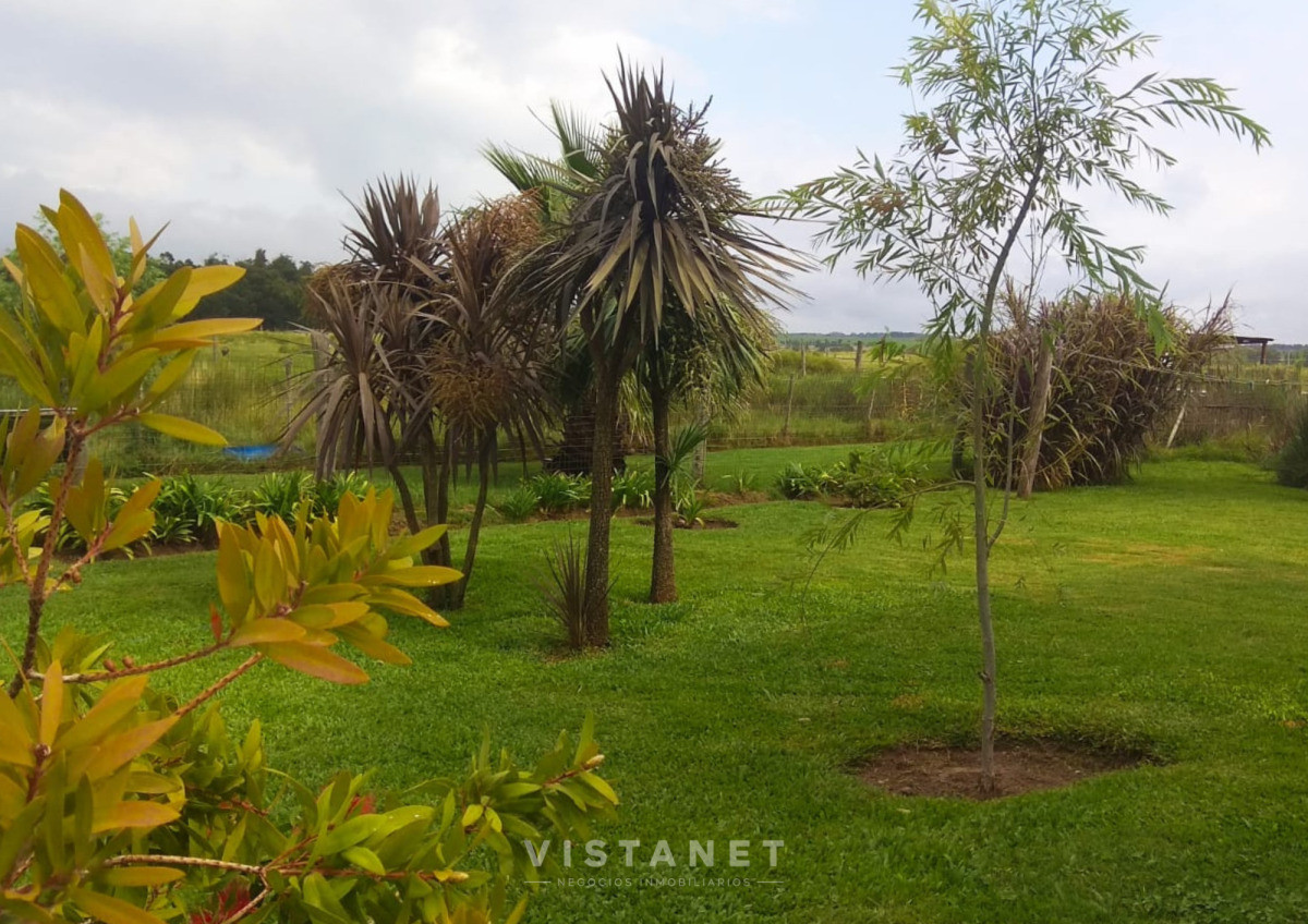 Chacra ID.205/Venta-Chacra-6-hectáreas-en-Cuchilla-Alta - Venta Chacra 6 hectáreas en Cuchilla Alta