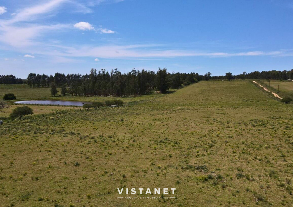 Chacra ID.229/Venta-Chacra-de-4.5-Hectareas-sobre-Ruta-11-en-La-Palmita - Venta Chacra de 4.5 Hectareas sobre Ruta 11 en La Palmita