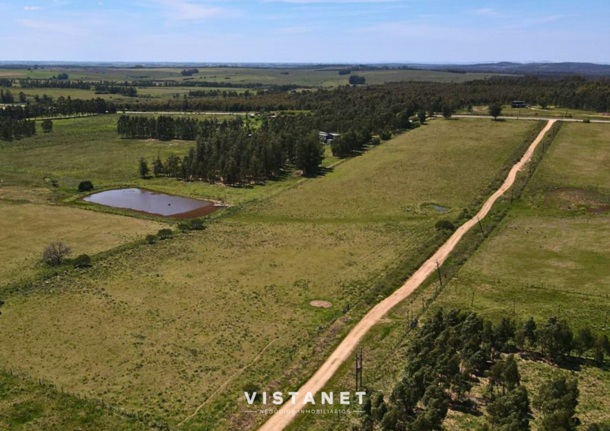 Chacra ID.229/Venta-Chacra-de-4.5-Hectareas-sobre-Ruta-11-en-La-Palmita - Venta Chacra de 4.5 Hectareas sobre Ruta 11 en La Palmita