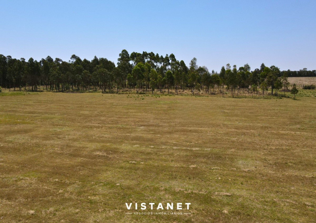 Chacra ID.316/Venta-de-Chacra-de-4Has-en-Ruta-9,-Capilla-de-Cella,-Canelones - Venta de Chacra de 4Has en Ruta 9, Capilla de Cella, Canelones