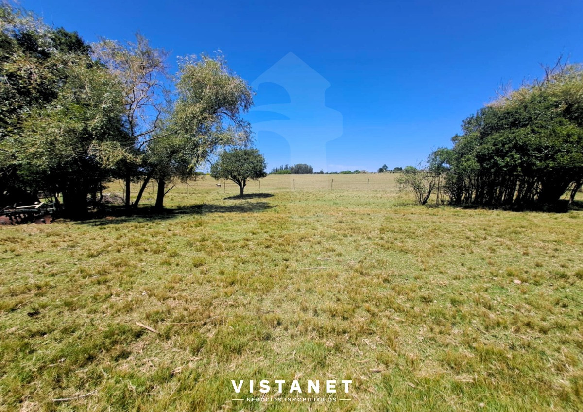 Empalme Olmos - GoPunta - Portal Inmobiliario de Punta del Este - Maldonado