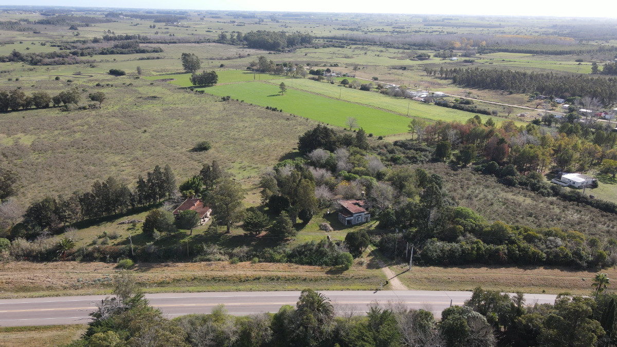 San Jacinto - GoPunta - Portal Inmobiliario de Punta del Este - Maldonado
