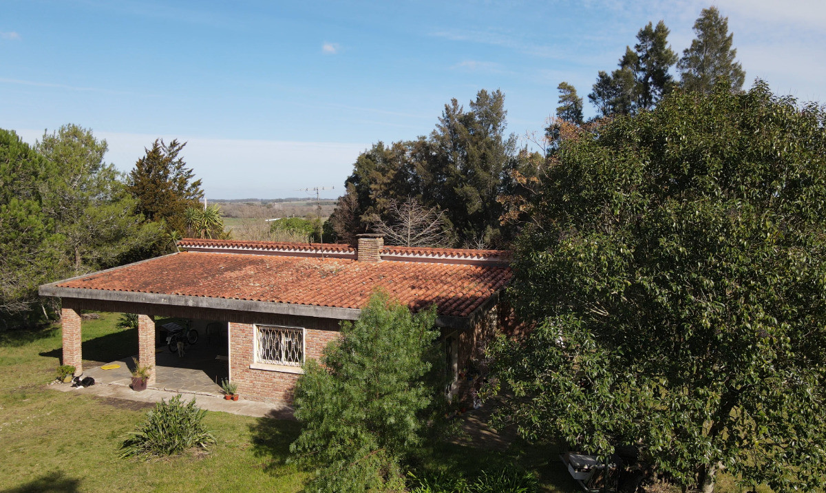 San Jacinto - GoPunta - Portal Inmobiliario de Punta del Este - Maldonado