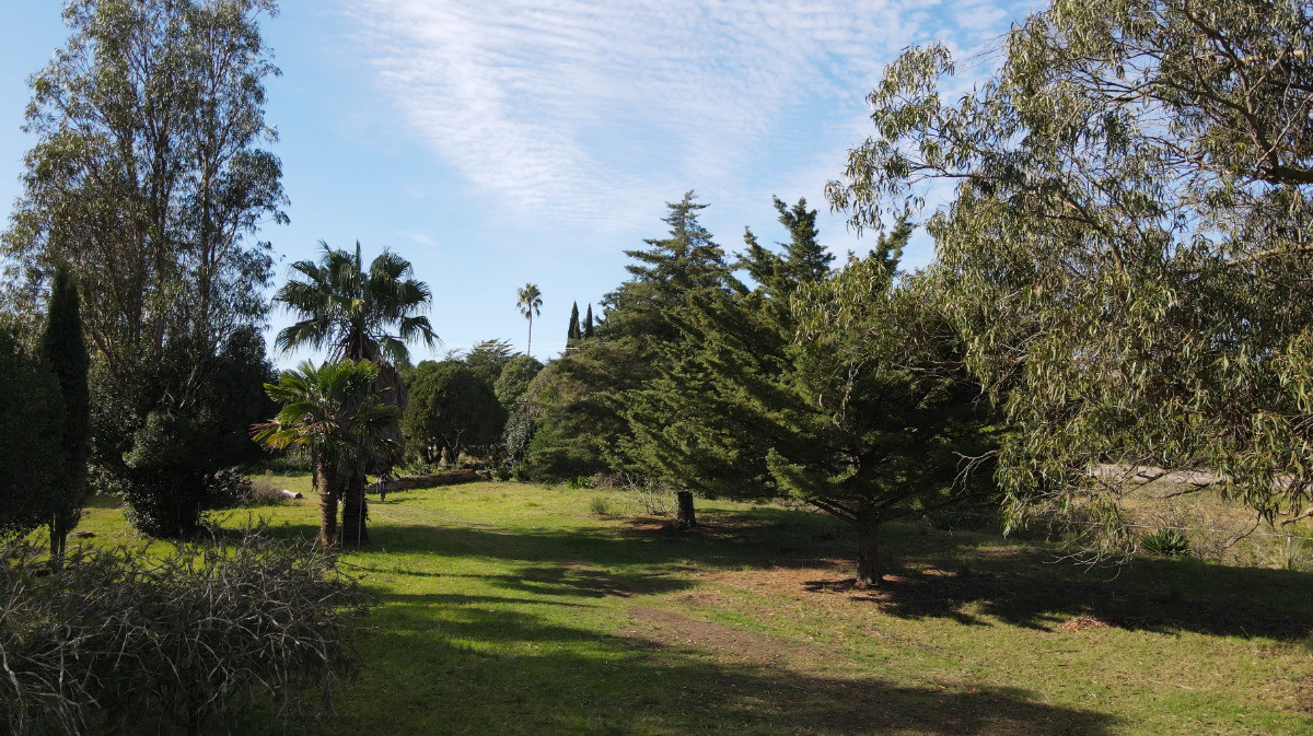 San Jacinto - GoPunta - Portal Inmobiliario de Punta del Este - Maldonado