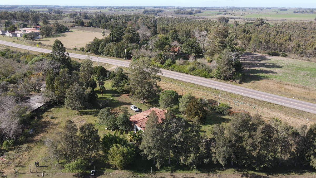 San Jacinto - GoPunta - Portal Inmobiliario de Punta del Este - Maldonado