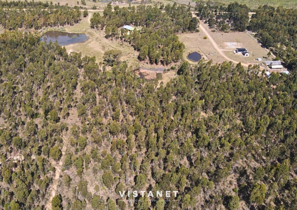 Chacra ID.189/Venta-Chacra-en-La-Palmita- - Venta Chacra en La Palmita 