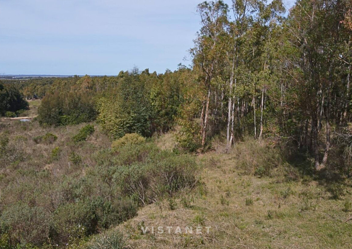 Chacra ID.189/Venta-Chacra-en-La-Palmita- - Venta Chacra en La Palmita 