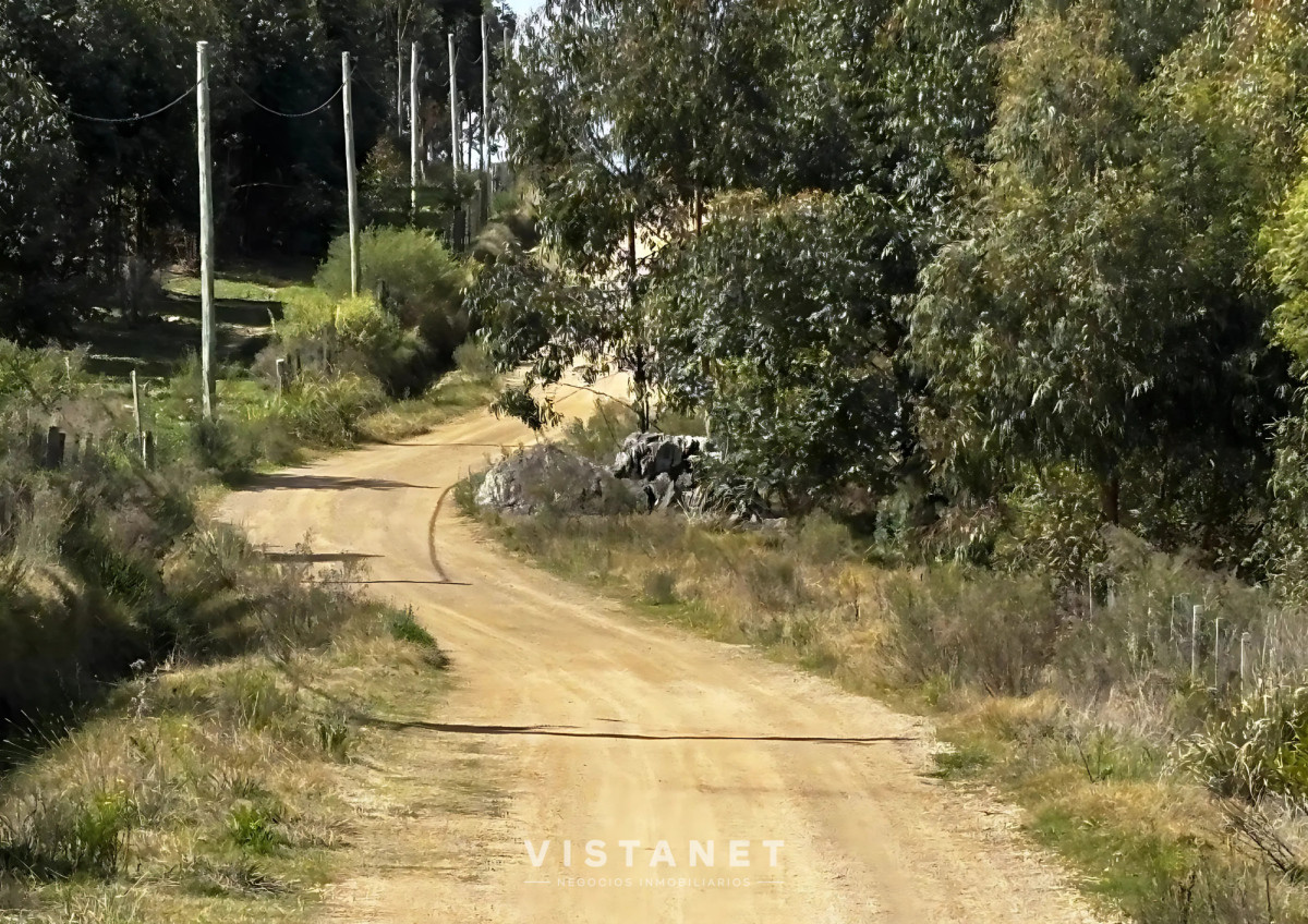 Chacra ID.189/Venta-Chacra-en-La-Palmita- - Venta Chacra en La Palmita 