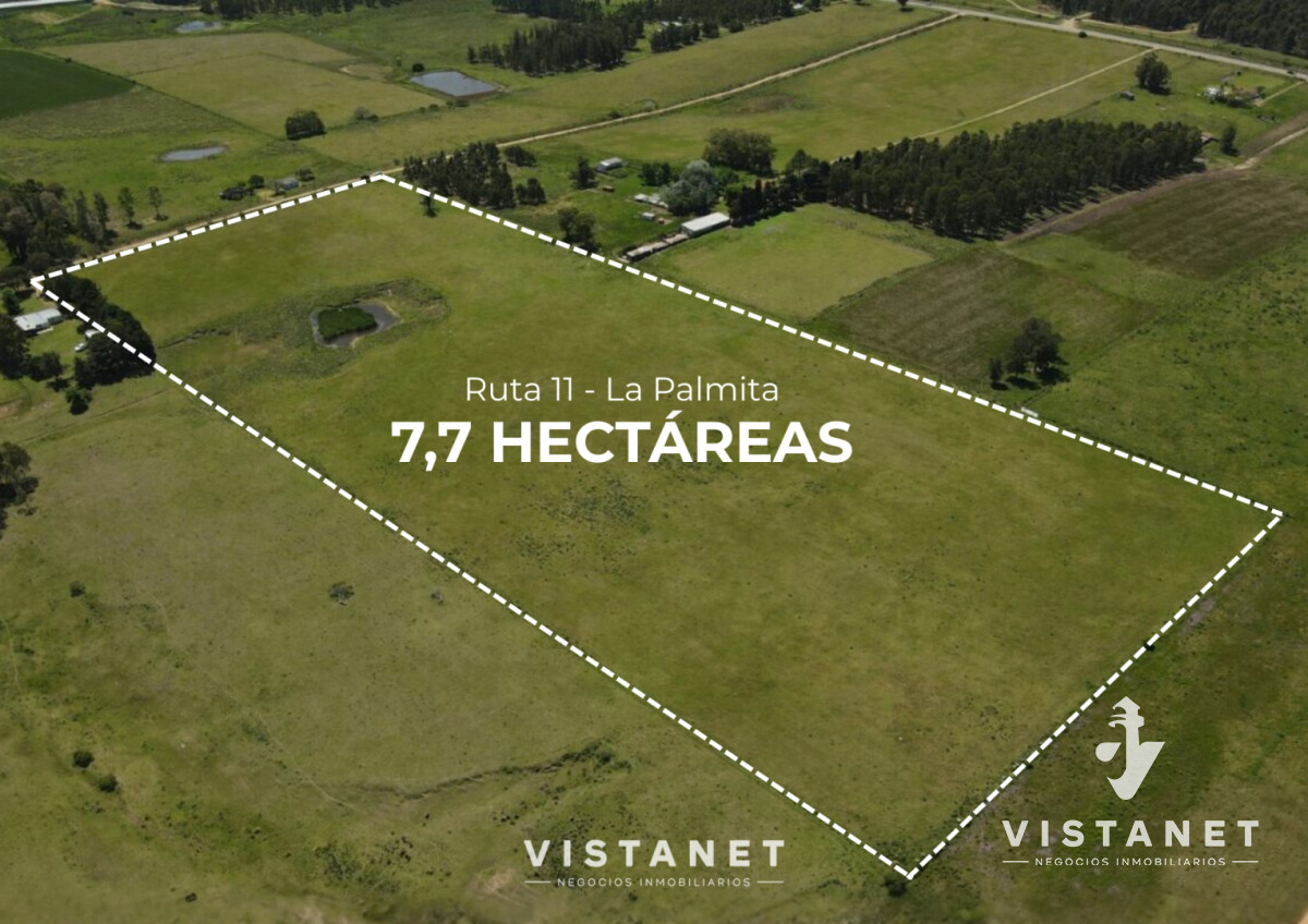 Chacra ID.233/Venta-Chacra-de-7.7Has-sobre-Ruta-11,-La-Palmita - Venta Chacra de 7.7Has sobre Ruta 11, La Palmita