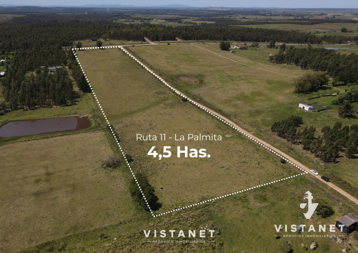 Chacra ID.229/Venta-Chacra-de-4.5-Hectareas-sobre-Ruta-11-en-La-Palmita - Venta Chacra de 4.5 Hectareas sobre Ruta 11 en La Palmita