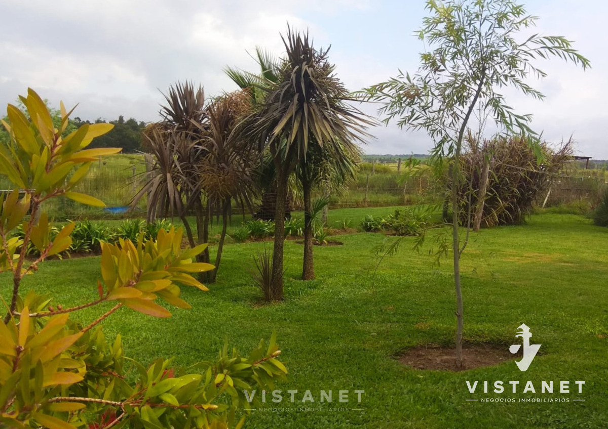 Chacra ID.205/Venta-Chacra-6-hectáreas-en-Cuchilla-Alta - Venta Chacra 6 hectáreas en Cuchilla Alta