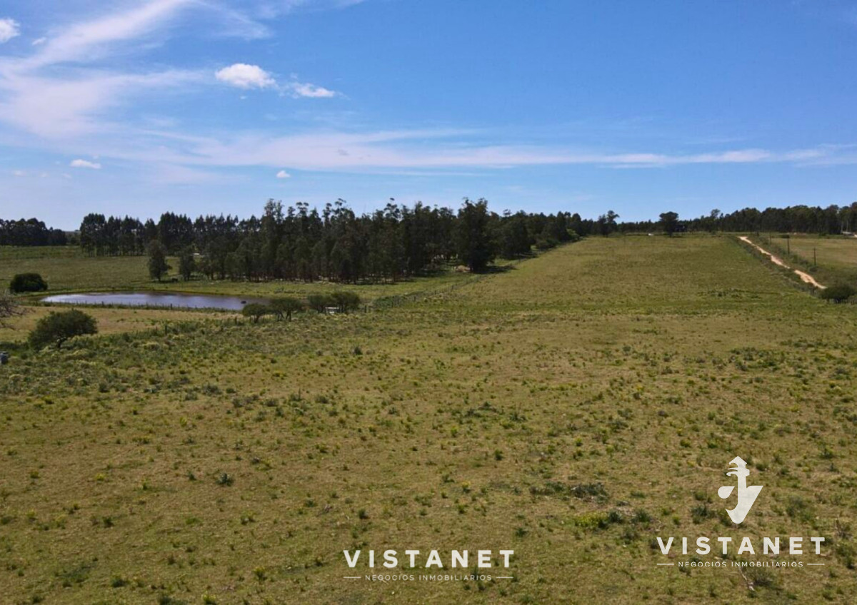 Chacra ID.229/Venta-Chacra-de-4.5-Hectareas-sobre-Ruta-11-en-La-Palmita - Venta Chacra de 4.5 Hectareas sobre Ruta 11 en La Palmita