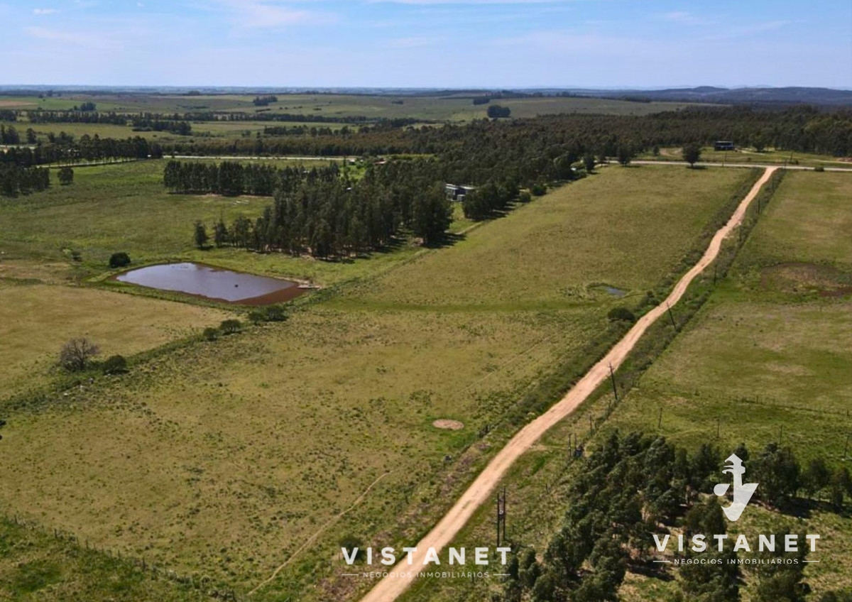 Chacra ID.229/Venta-Chacra-de-4.5-Hectareas-sobre-Ruta-11-en-La-Palmita - Venta Chacra de 4.5 Hectareas sobre Ruta 11 en La Palmita