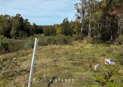 Venta Chacra en La Palmita 