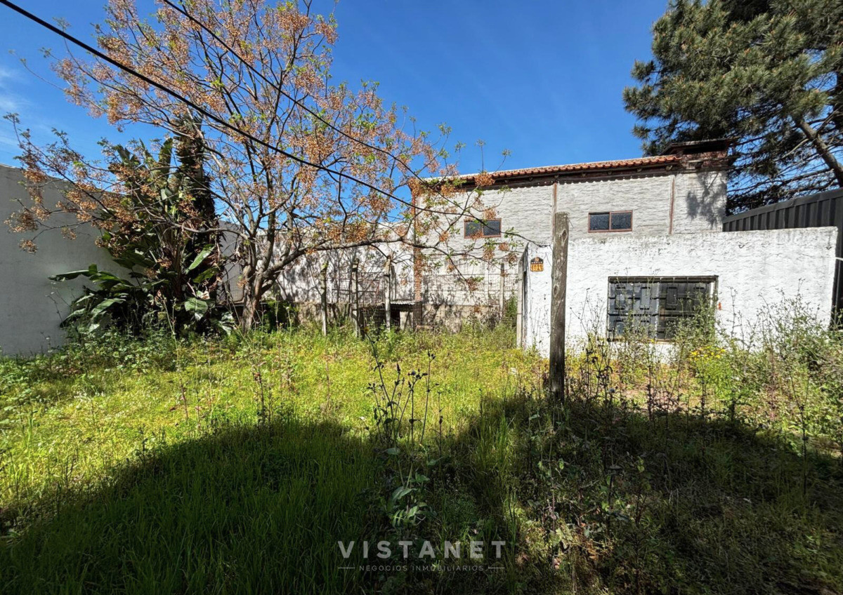 Local Comercial ID.188 - Local en Ciudad de la Costa, El Pinar