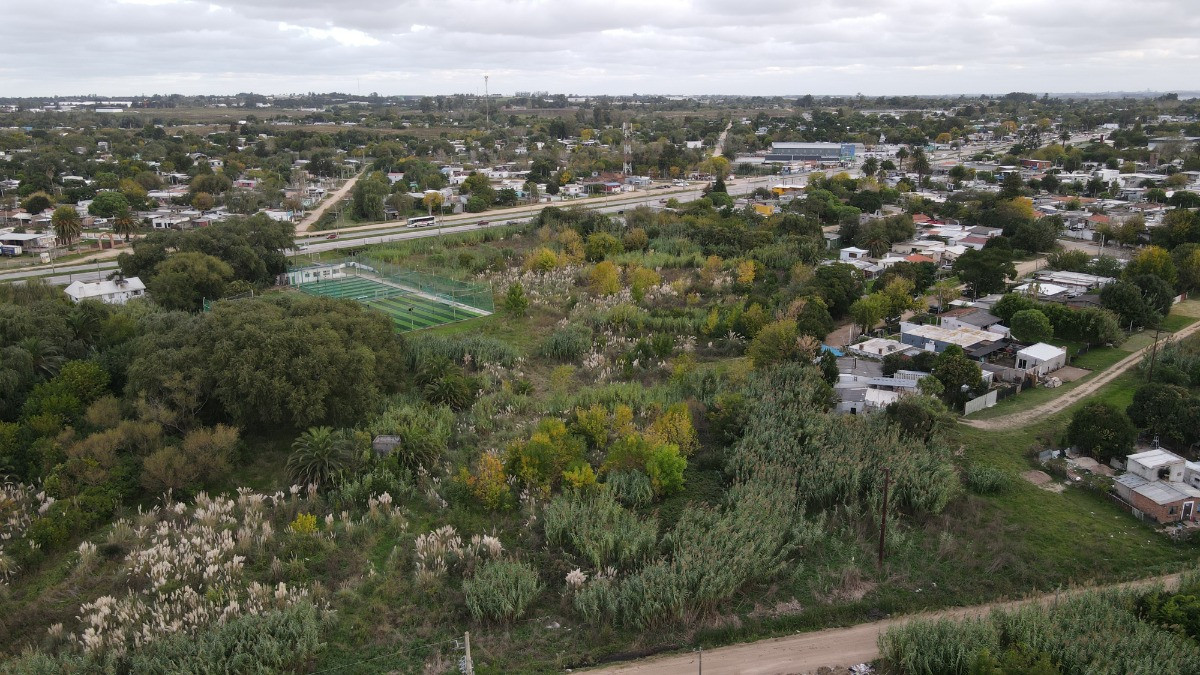 Terreno ID.79/Terreno-Grande-En-Venta-Sobre-Ruta-8-Inversión-O-Local-Comercial-Barros-Blancos - Terreno Grande En Venta Sobre Ruta 8 Inversión O Local Comercial Barros Blancos