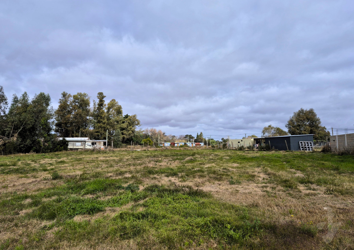 Estación Atlántida - GoPunta - Portal Inmobiliario de Punta del Este - Maldonado