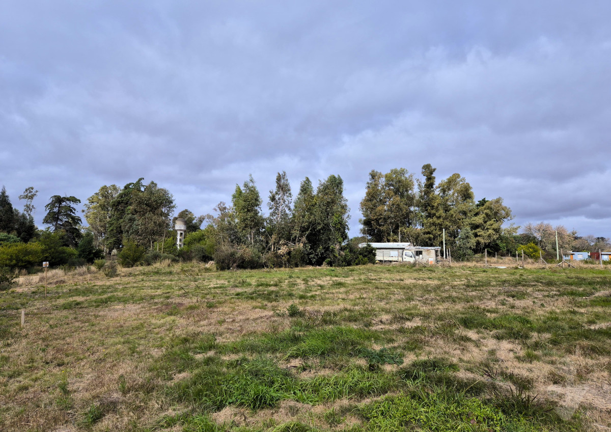 Estación Atlántida - GoPunta - Portal Inmobiliario de Punta del Este - Maldonado