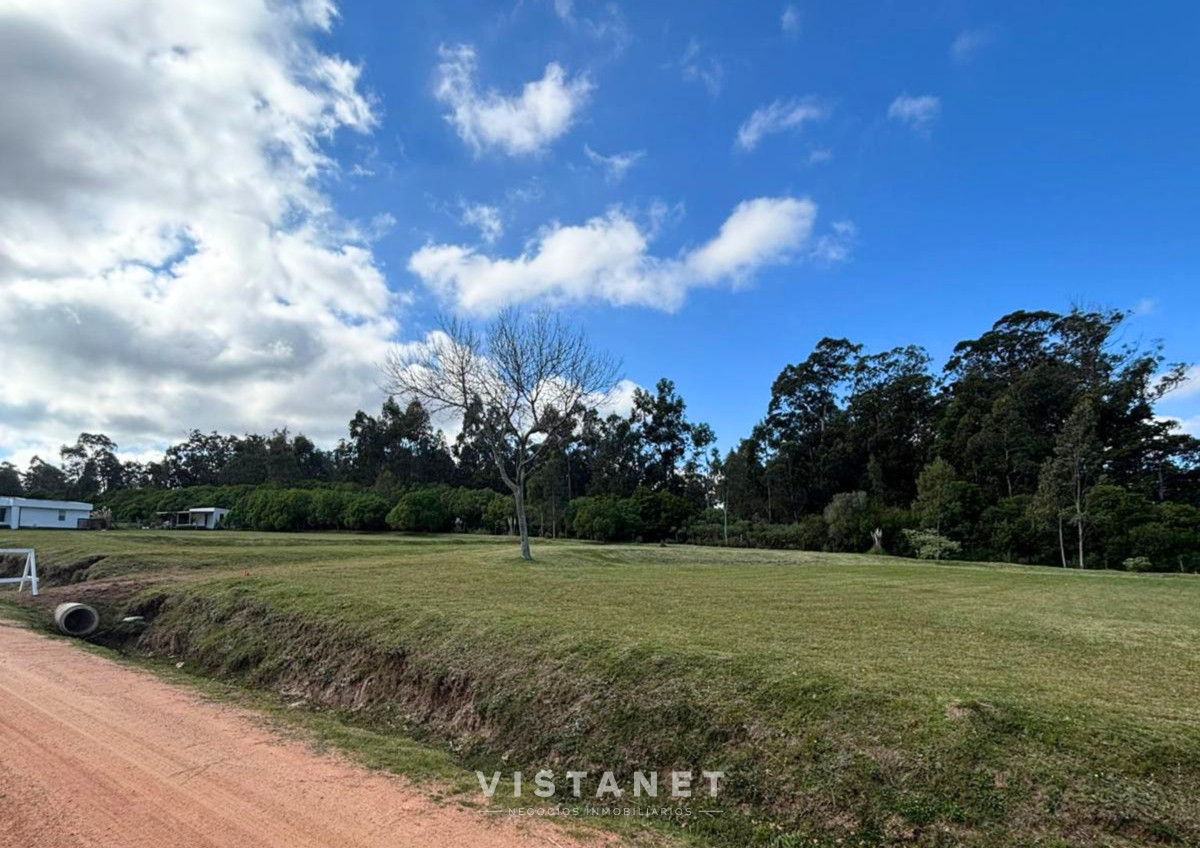 Camino Lussich - GoPunta - Portal Inmobiliario de Punta del Este - Maldonado