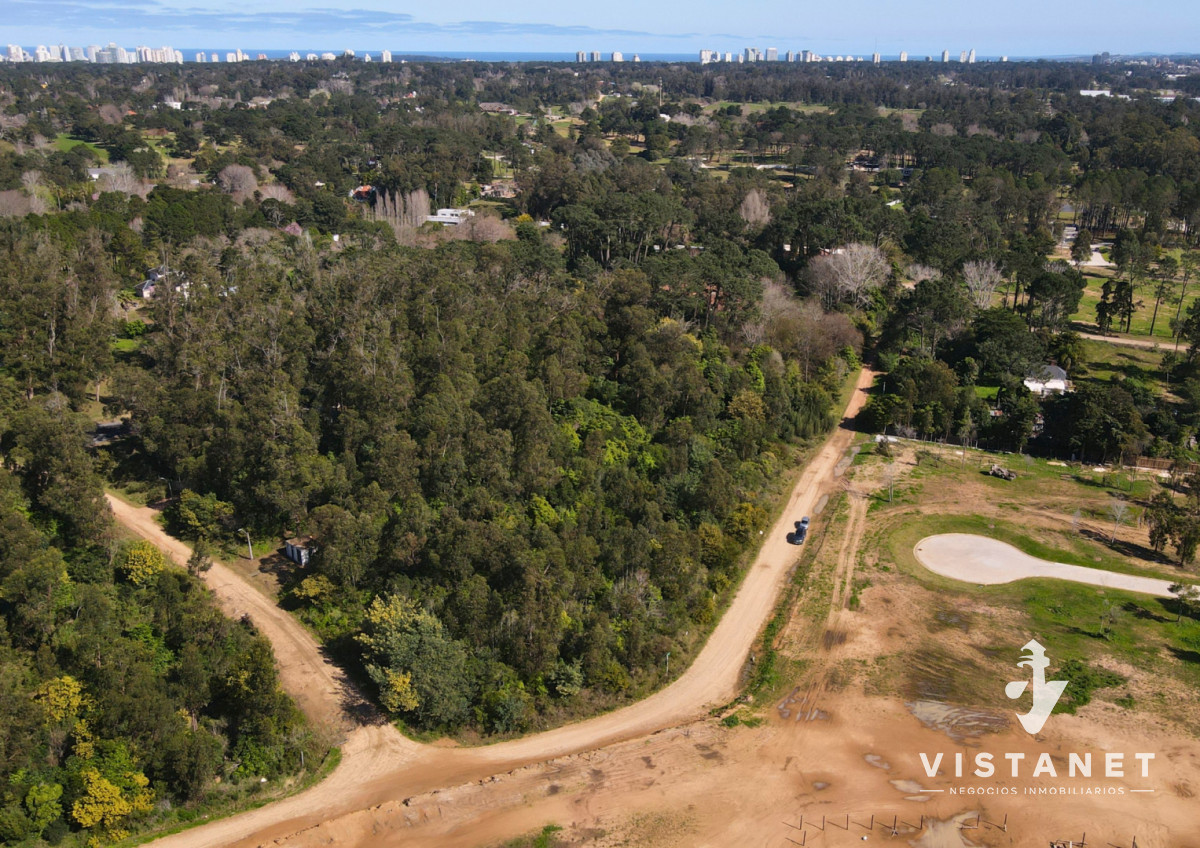 Terreno ID.438/Venta-Terreno-de-2500m2-en-El-Golf,-Punta-del-Este - Venta Terreno de 2500m2 en El Golf, Punta del Este