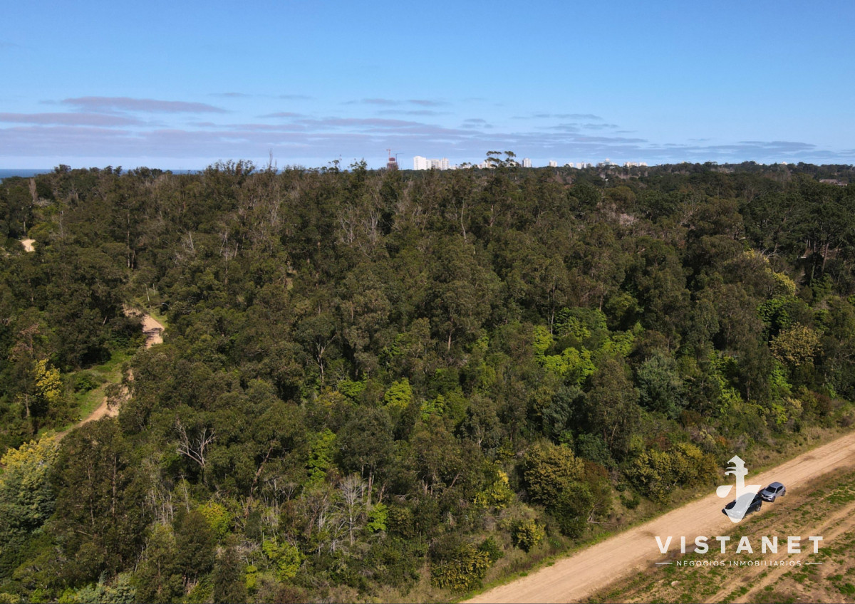 Terreno ID.438/Venta-Terreno-de-2500m2-en-El-Golf,-Punta-del-Este - Venta Terreno de 2500m2 en El Golf, Punta del Este