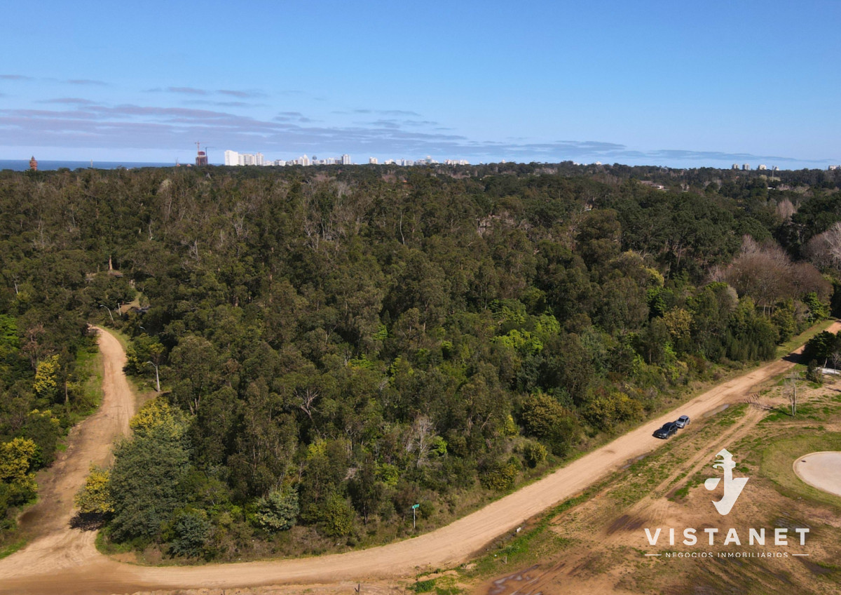 Terreno ID.438/Venta-Terreno-de-2500m2-en-El-Golf,-Punta-del-Este - Venta Terreno de 2500m2 en El Golf, Punta del Este
