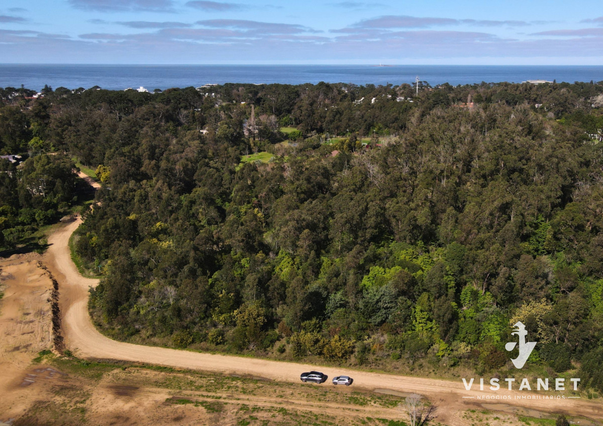 Terreno ID.438/Venta-Terreno-de-2500m2-en-El-Golf,-Punta-del-Este - Venta Terreno de 2500m2 en El Golf, Punta del Este
