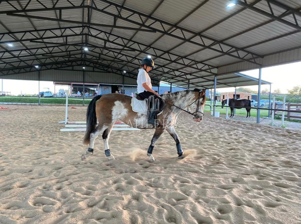 Chacra ID.303 - Venta Chacra en ruta 39, Maldonado