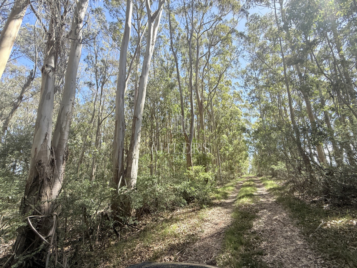 Terreno ID.390 - Terreno La Juanita Venta 