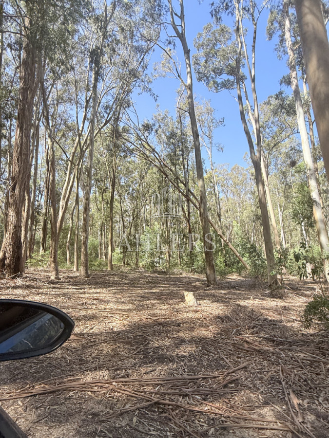 Terreno ID.390 - Terreno La Juanita Venta 