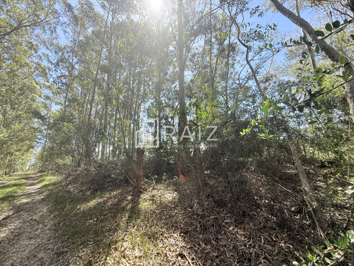 Terreno ID.11814 - VENTA TERRENO 561M LA JUANITA  -JOSE IGNACIO