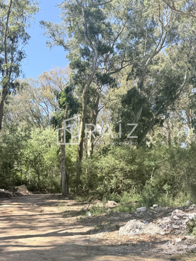 Terreno ID.11814 - VENTA TERRENO 561M LA JUANITA  -JOSE IGNACIO