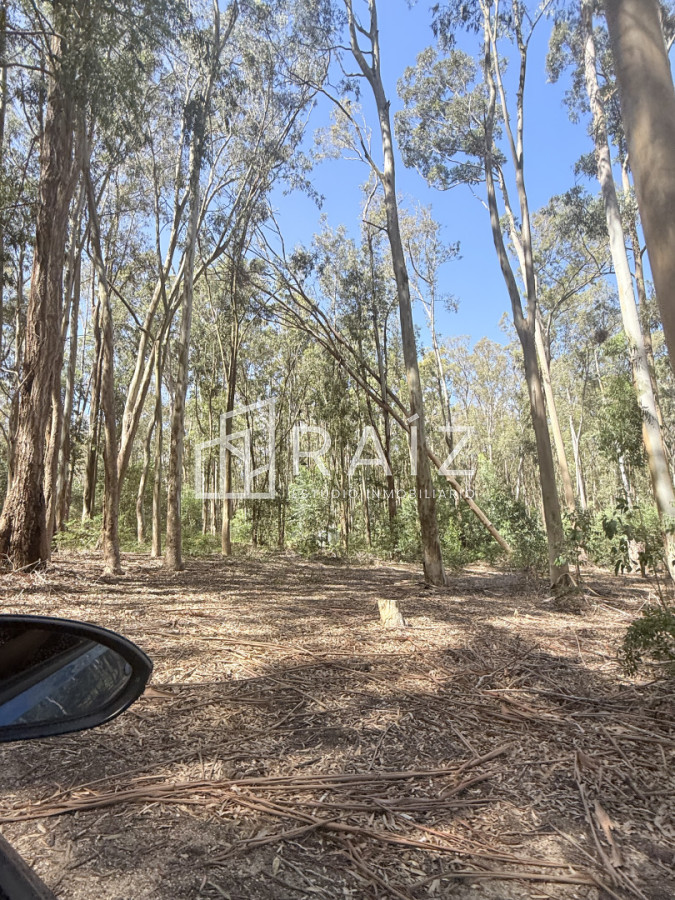 Terreno ID.11814 - VENTA TERRENO 561M LA JUANITA  -JOSE IGNACIO