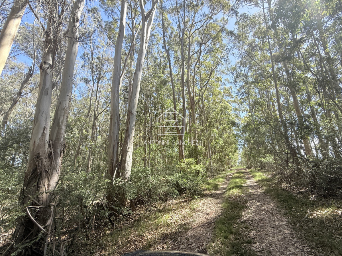 Terreno ID.3252 - Terreno La Juanita Venta 