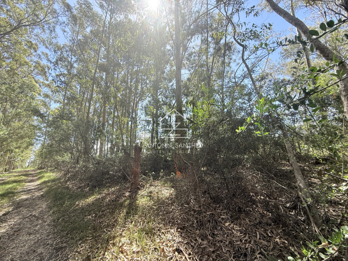 Terreno ID.3252 - Terreno La Juanita Venta 