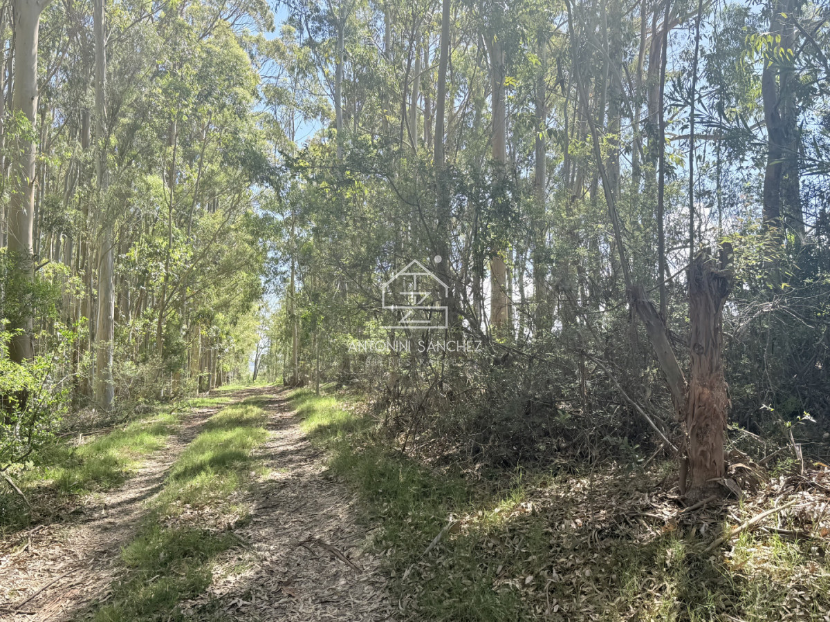 Terreno ID.3252 - Terreno La Juanita Venta 