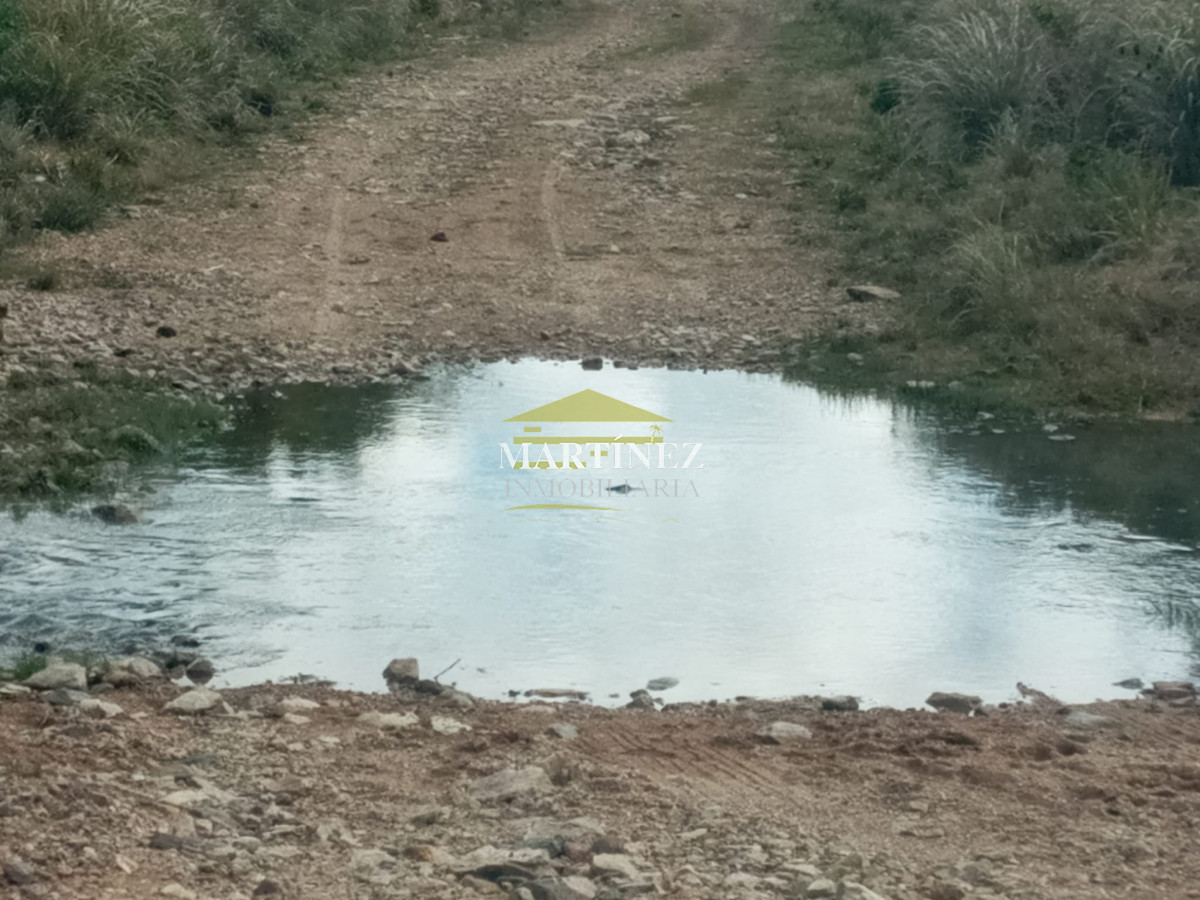 Campo Ref.76 - Campo ganadero forestal en Lavalleja