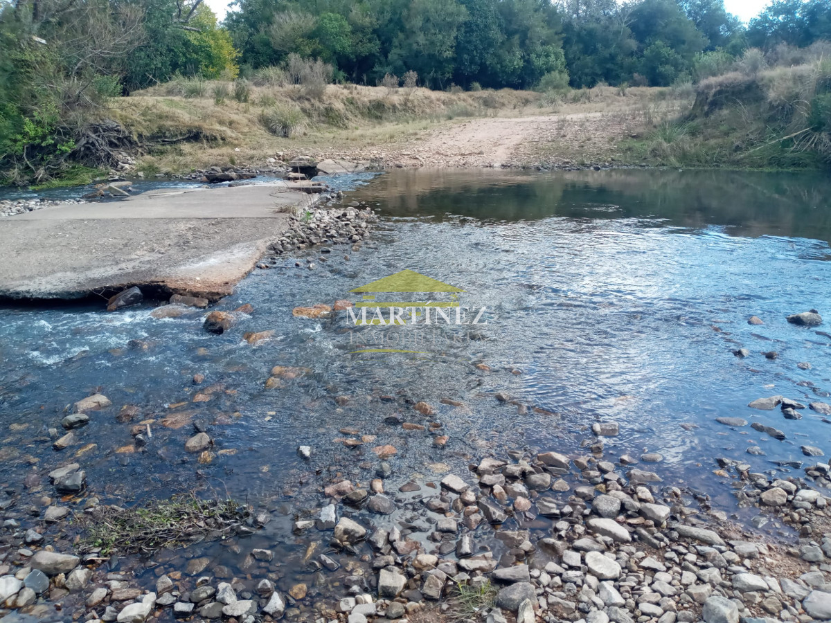 Campo Ref.76 - Campo ganadero forestal en Lavalleja