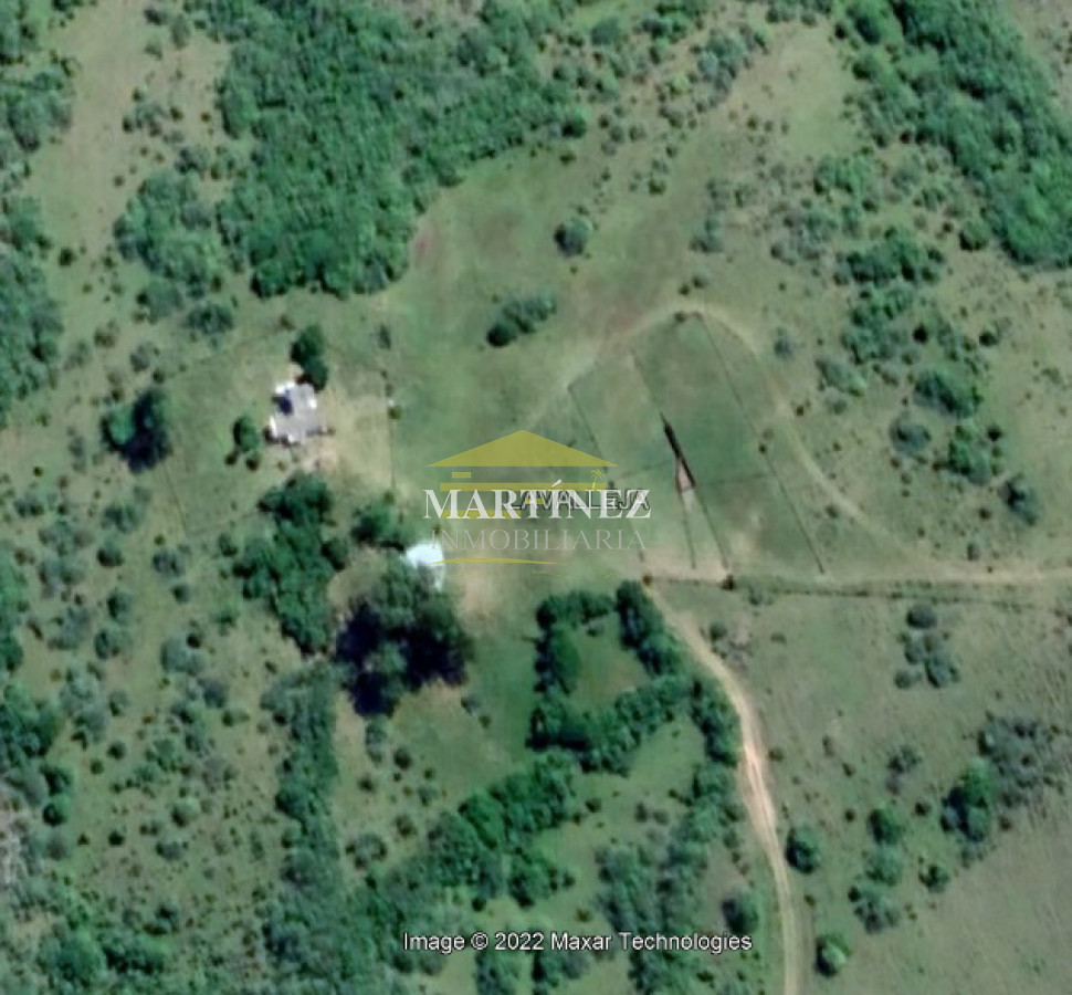 Campo Ref.76 - Campo ganadero forestal en Lavalleja