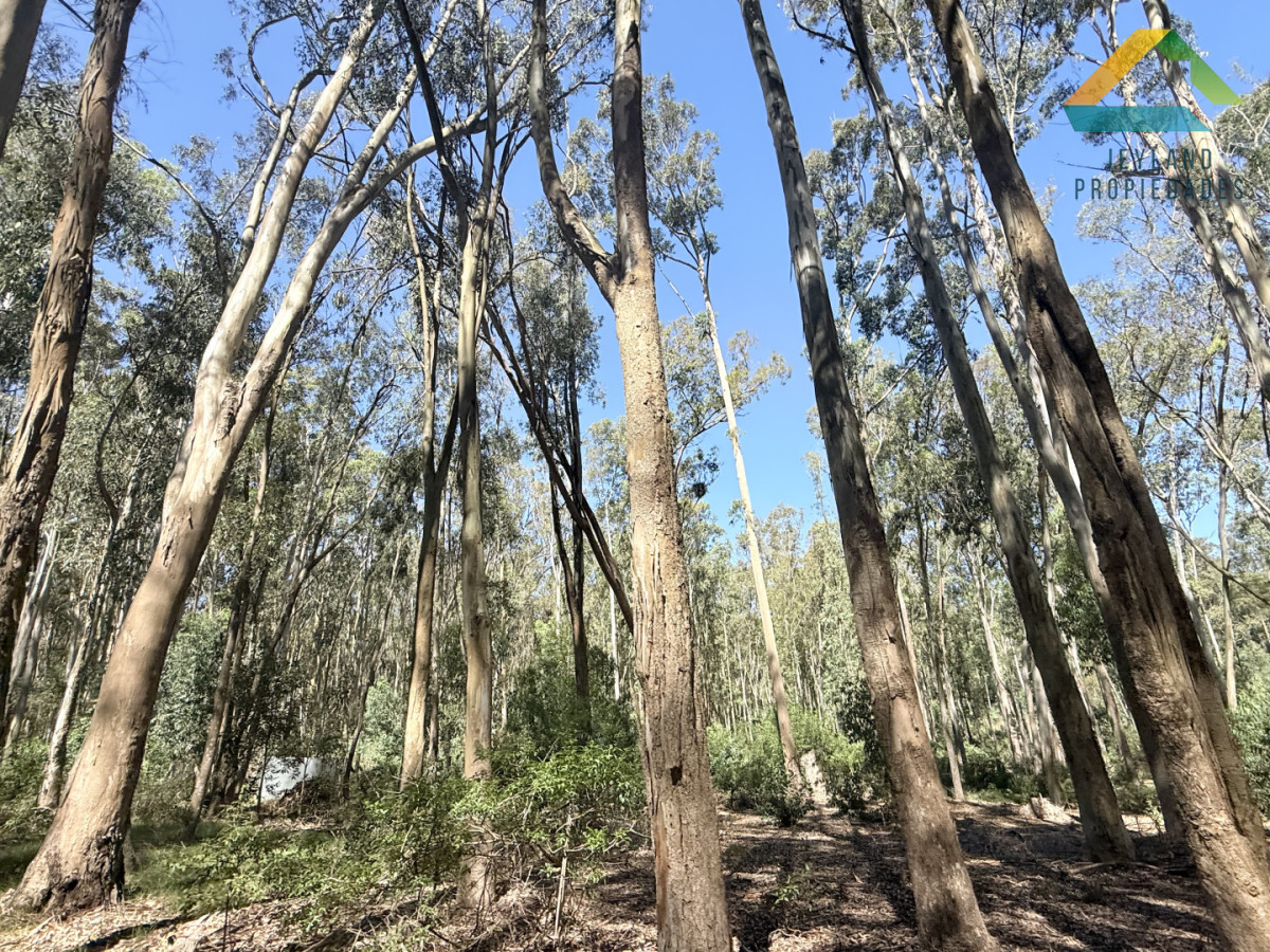 Terreno ID.380 - Terreno La Juanita Venta 