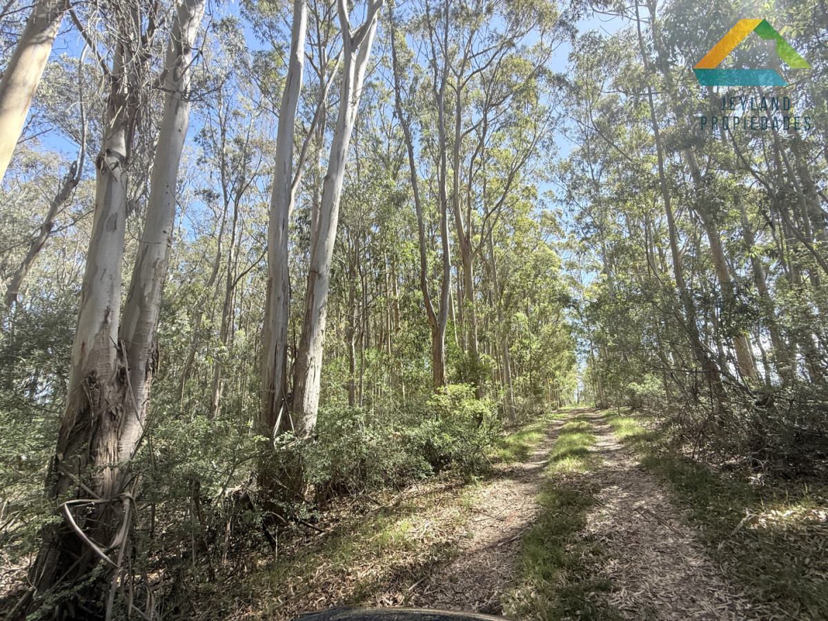 Terreno ID.380 - Terreno La Juanita Venta 