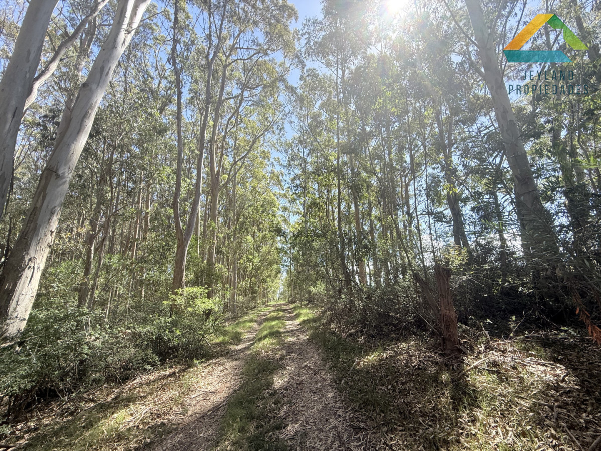 Terreno ID.380 - Terreno La Juanita Venta 