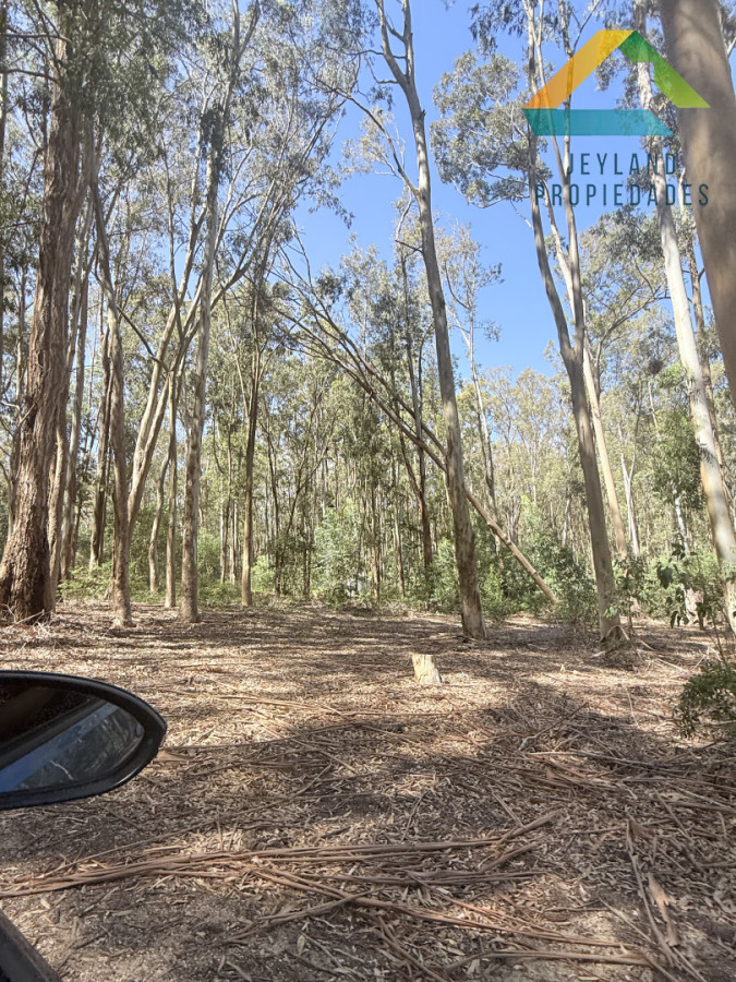 Terreno ID.380 - Terreno La Juanita Venta 