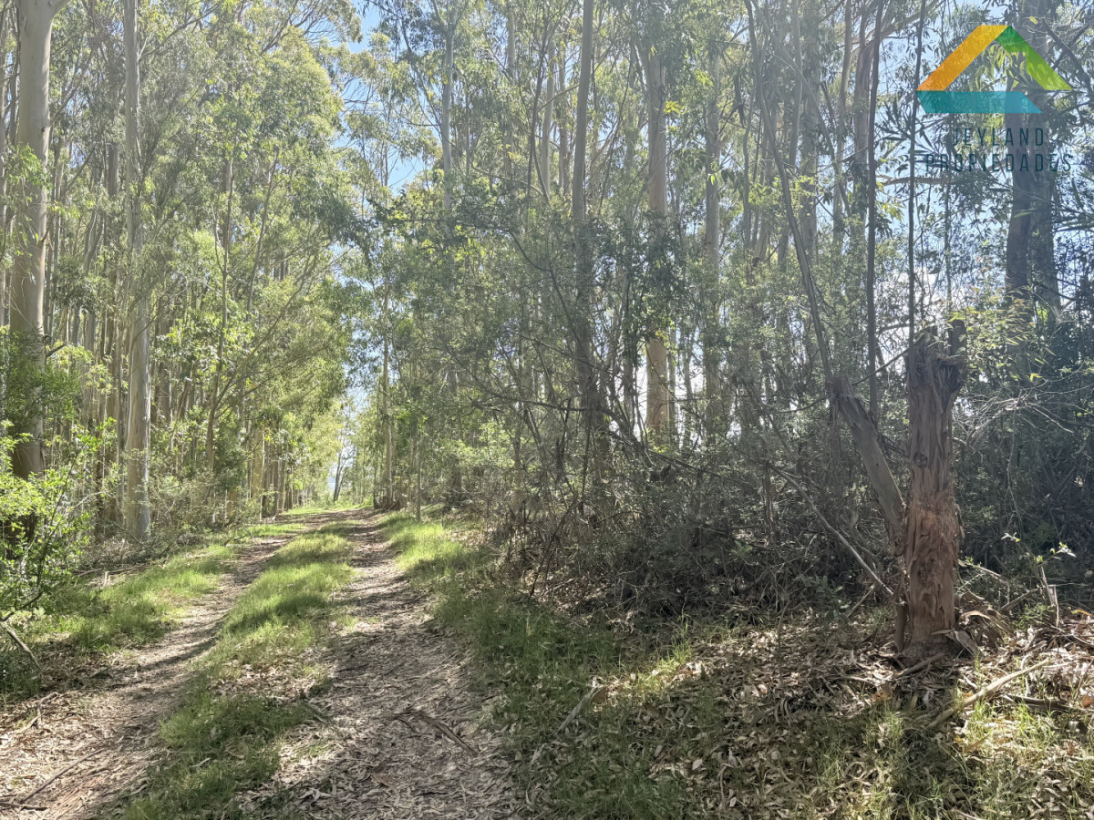 Terreno ID.380 - Terreno La Juanita Venta 