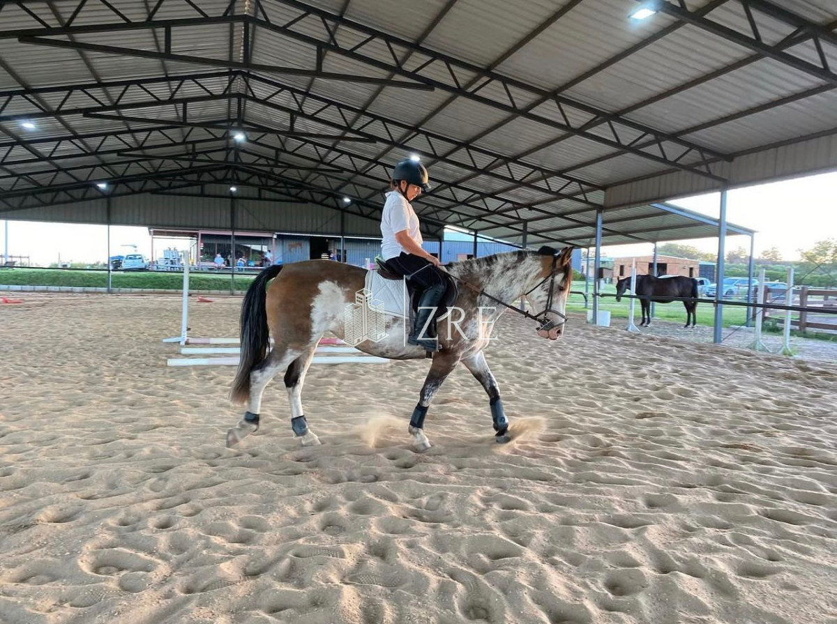 Chacra ID.835 - Venta Chacra en ruta 39, Maldonado