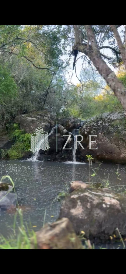 Chacra ID.1306 - Venta chacra de 92 hectáreas en San Carlos, Maldonado